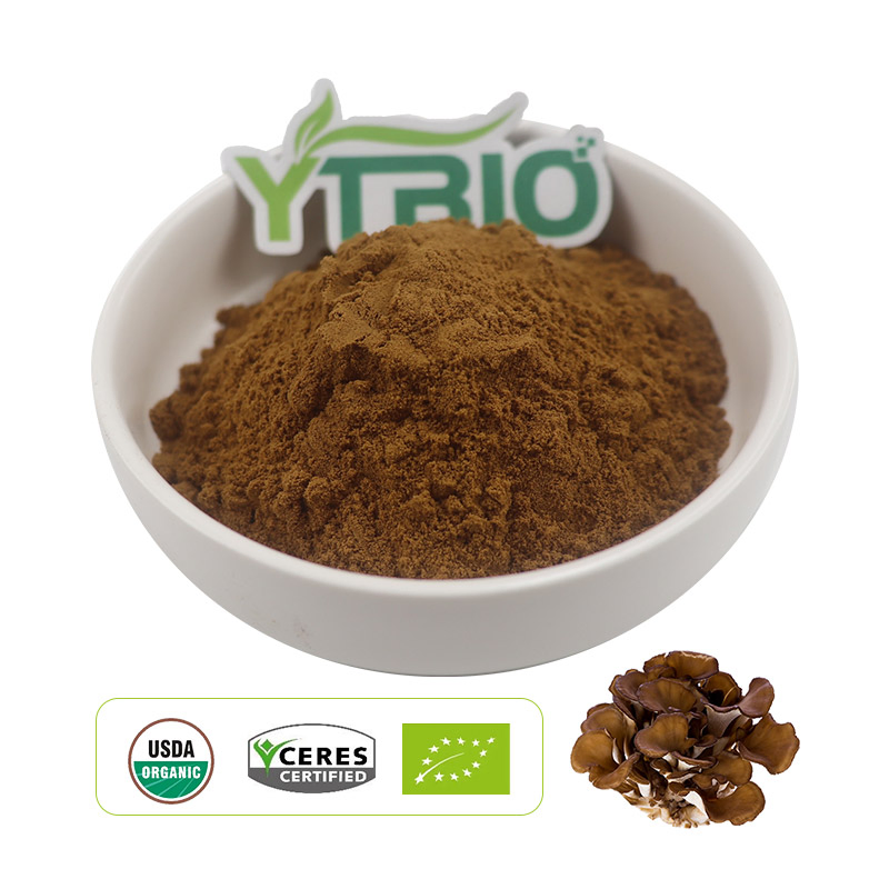Extracto de champiñón Maitake orgánico en polvo