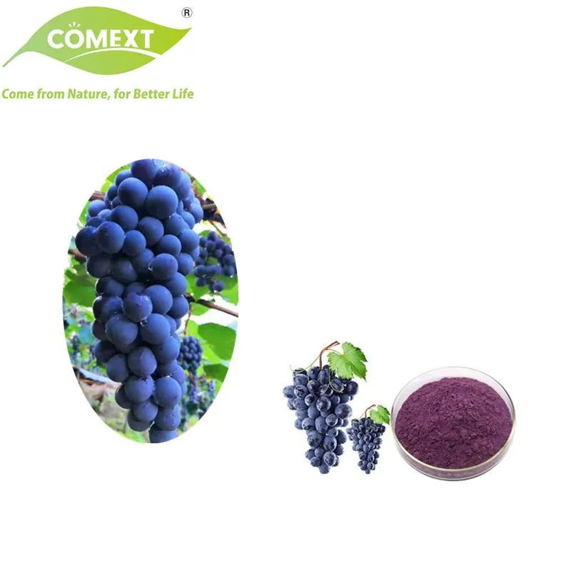 100% Alimento Natural Mantener Belleza Superalimento Aditivo Alimentario Extracto de Fruta Orgánica Polvo de Uva Liofilizado