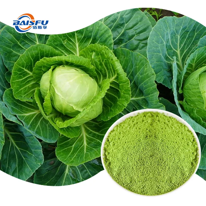 Polvo de repollo verde liofilizado orgánico natural puro, polvo de vegetal soluble en agua para alimentos y bebidas