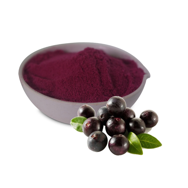 Polvo de fruta natural liofilizado de pitaya