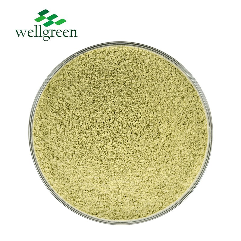 Polvo de repollo verde orgánico natural en polvo de grado alimenticio