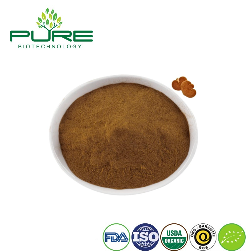 Extracto en polvo de hongo Reishi orgánico para aumentar la energía