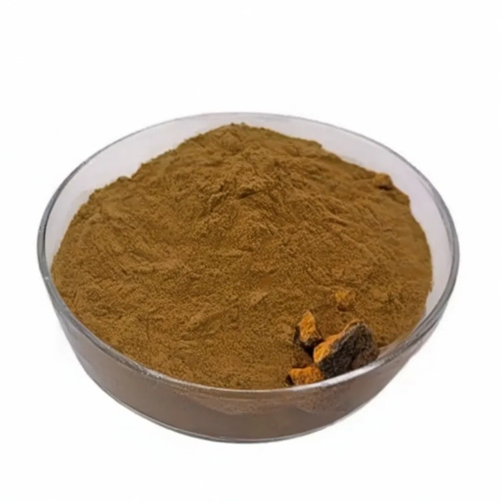 100% Polvo de hongo Chaga natural