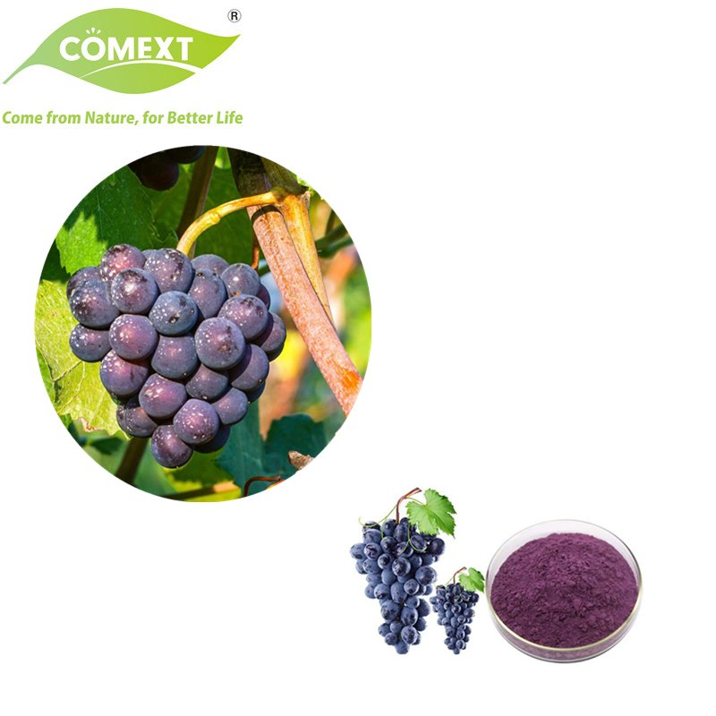 Comext 100% Alimento Natural Mantener Belleza Superalimento Aditivo Alimentario Extracto de Fruta Orgánica Polvo de Uva Liofilizado