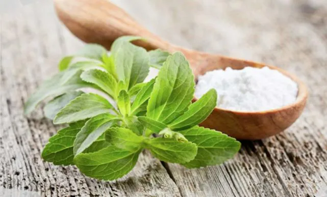 Extracto de hoja de stevia Extracto de stevia