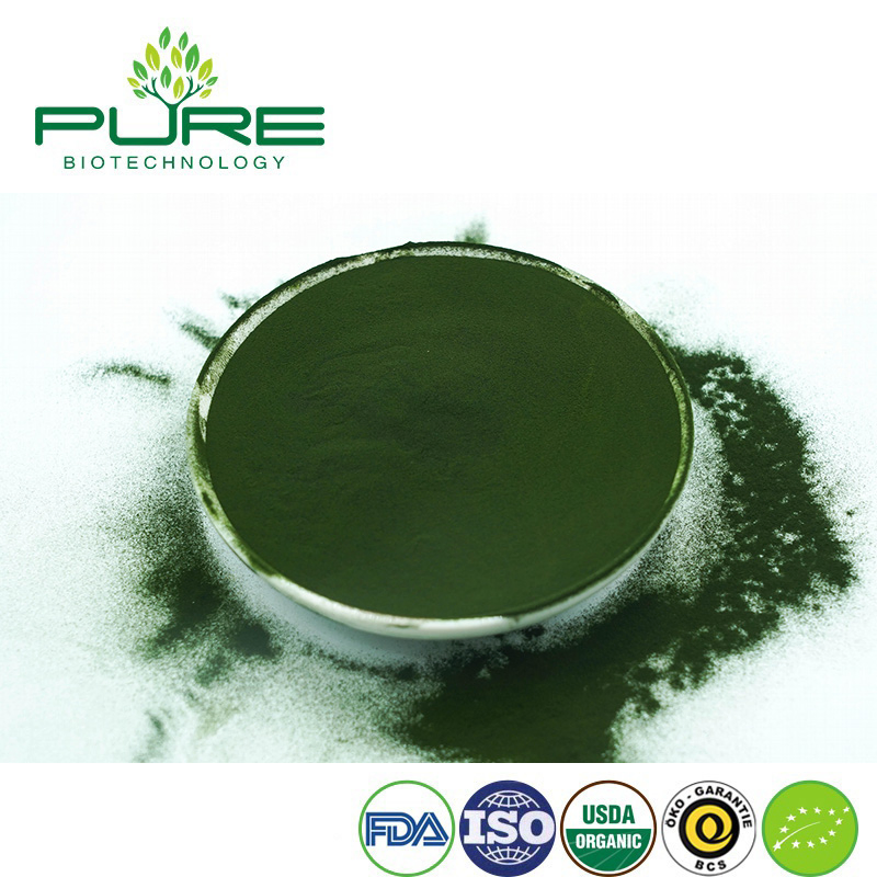 Polvo de superalimento de espirulina y chlorella orgánica para el bienestar