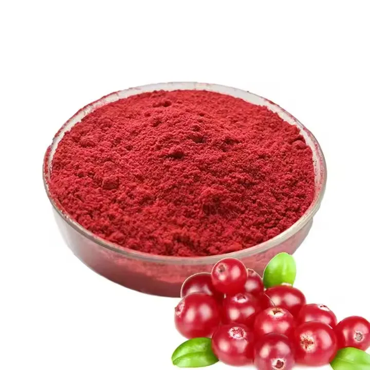 Suplemento alimenticio puro y natural de arándano en polvo liofilizado, venta de fábrica en EE. UU. y UE