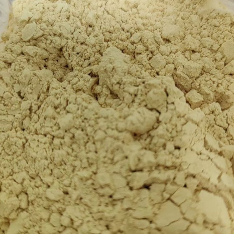 Extracto de Scutellaria Baicalensis (85% Baicalina) - Polvo Herbal Natural para Venta al por Mayor