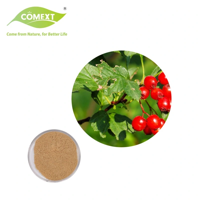 Comext Total Flavonoides/ 1% Hiperosido Vitexina Extracto de Hoja de Espino para la Salud del Corazón