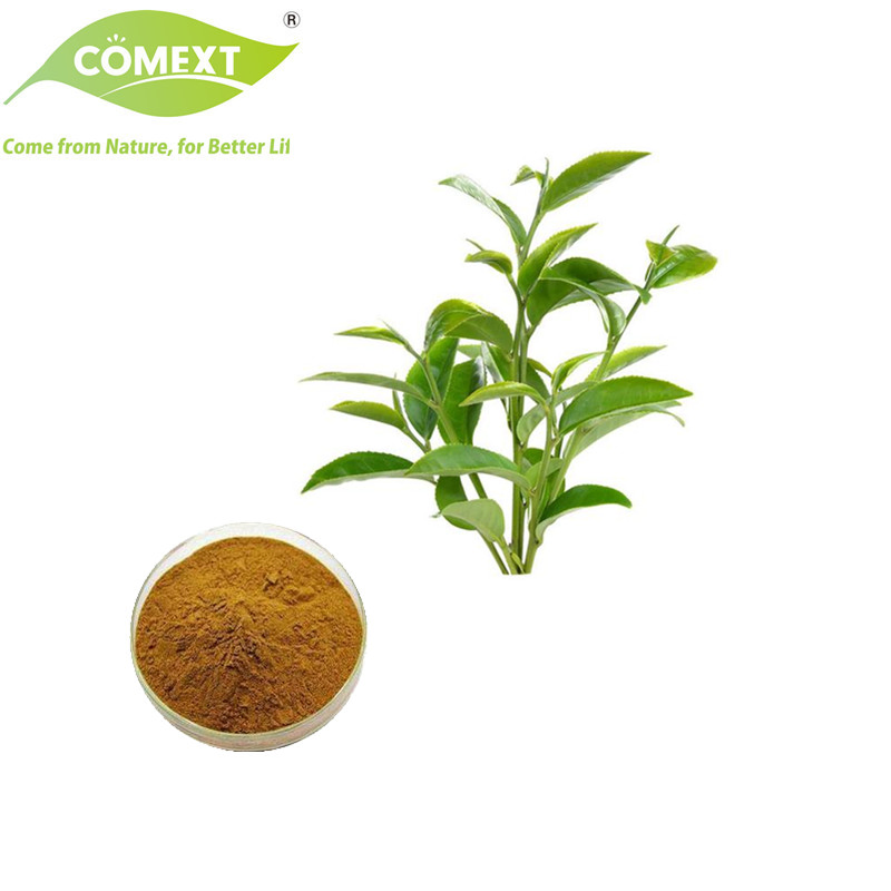 Comext Fabricante Precio Bajo Muestra Gratis Polvo de Té Polvo de Hoja de Té Polifenoles de Té EGCG Extracto de Hoja de Té Verde para Pérdida de Peso Cosméticos Aditivos para Piensos