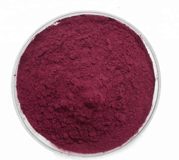 Polvo de Acai Berry soluble en agua de primera calidad, extracto de fruta de Acai Berry, suplemento diario en polvo de sabor super, liofilizado