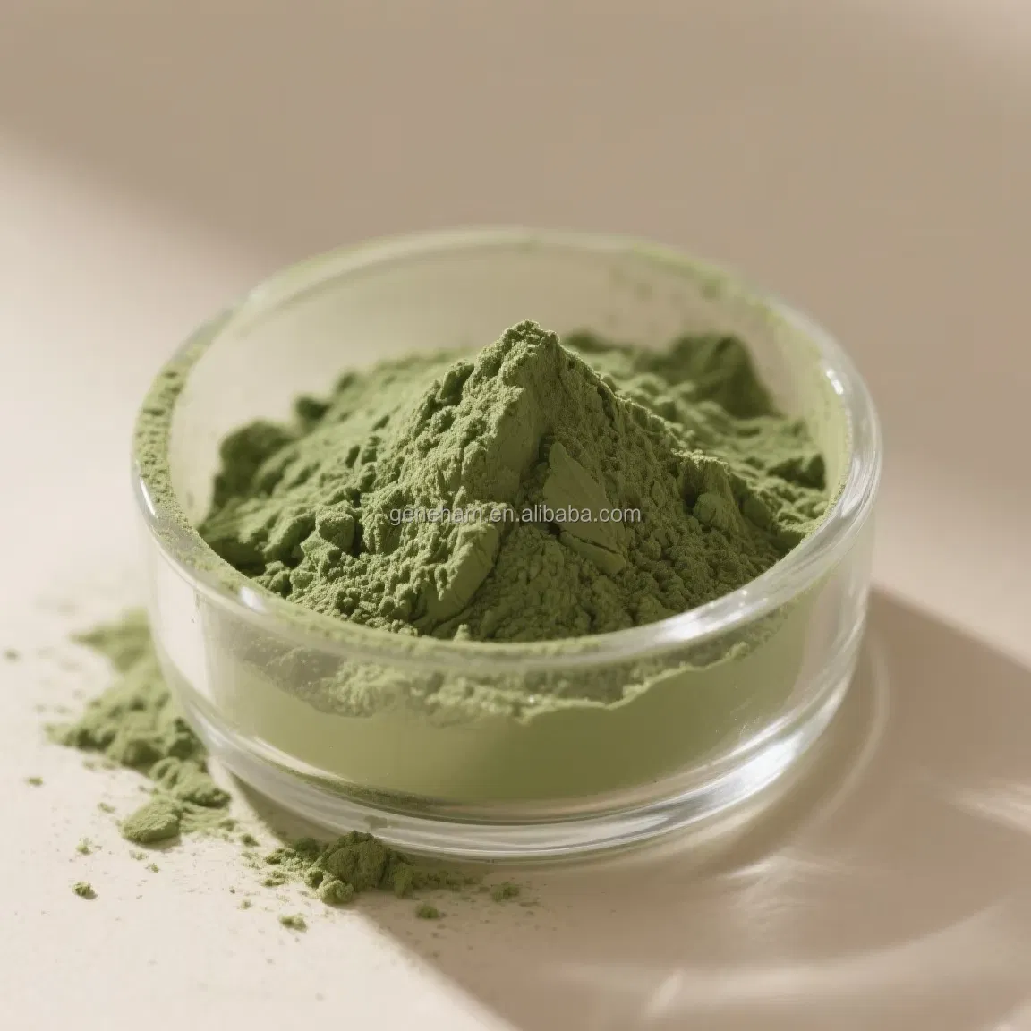 Certificado Kosher Halal Puro Dnj 1% Extracto de Hoja de Morera Extracto de Planta Premium en Polvo Verde