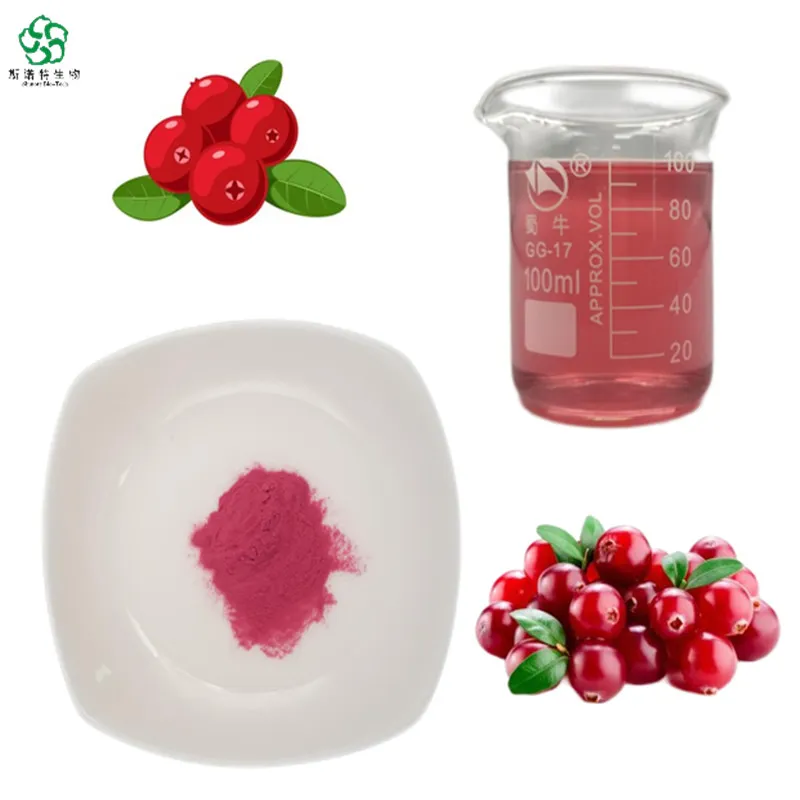 Polvo de Arándano Natural - Superalimento Rico en Antioxidantes para la Salud