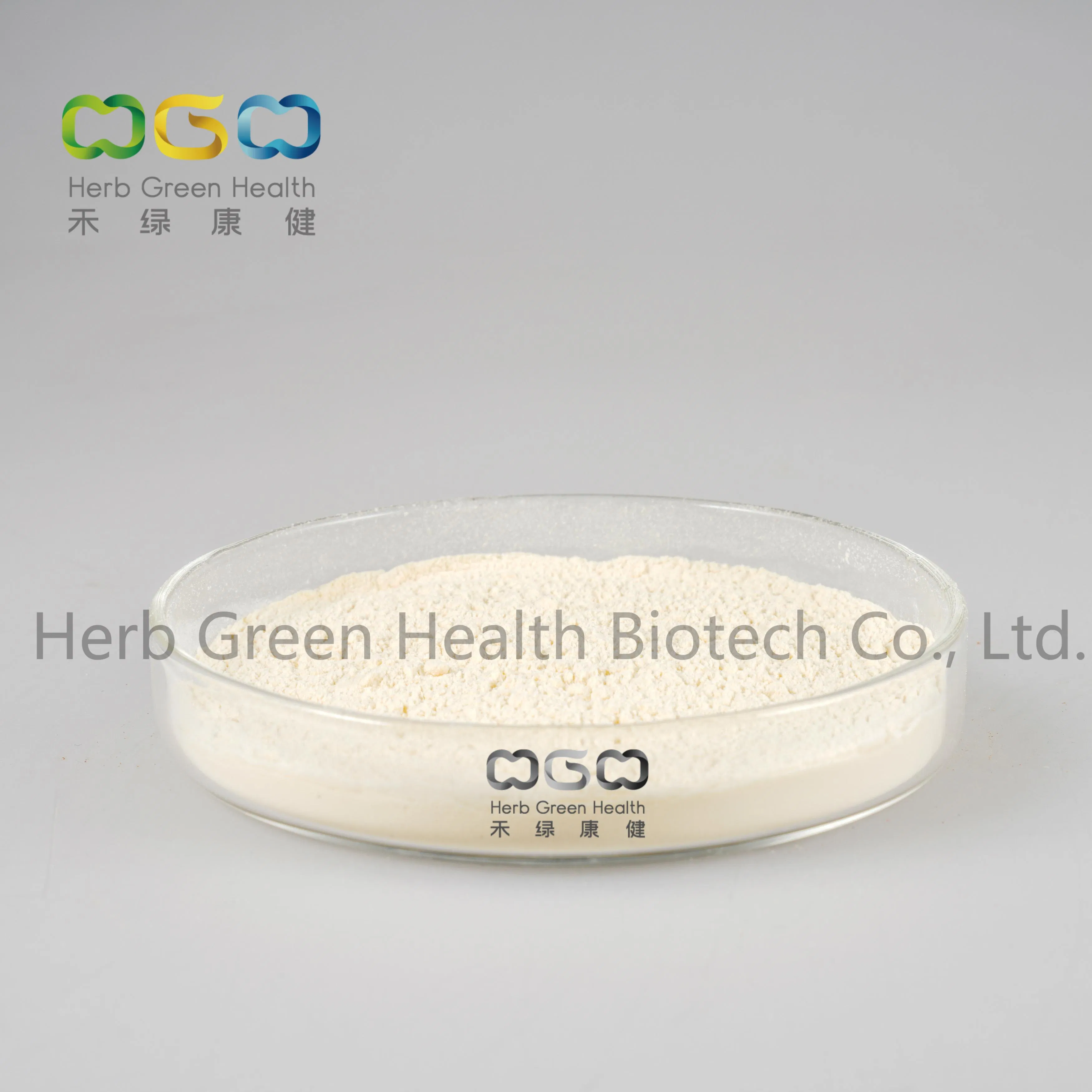 Polvo de EGCG 98% de hoja de té verde Camellia Sinensis extracto herbal Caffeine<0.1%