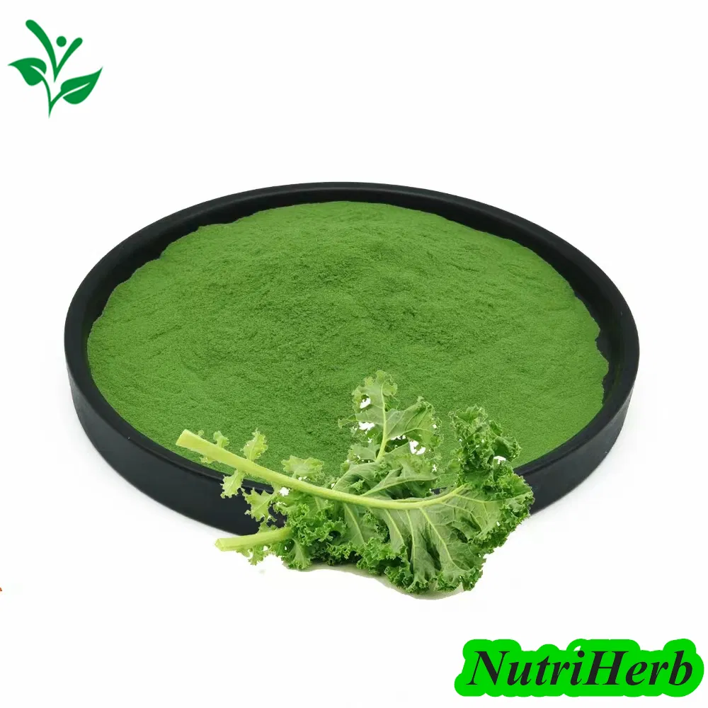 Polvo de basura vegetal seco Precio razonable Verde de basura Extarct Orgánico Polvo