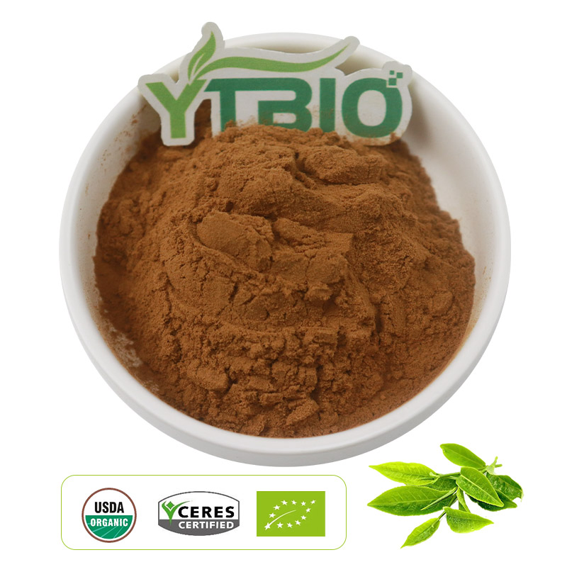 Suministrar extracto de té verde orgánico precio extracto de té verde salud alta calidad