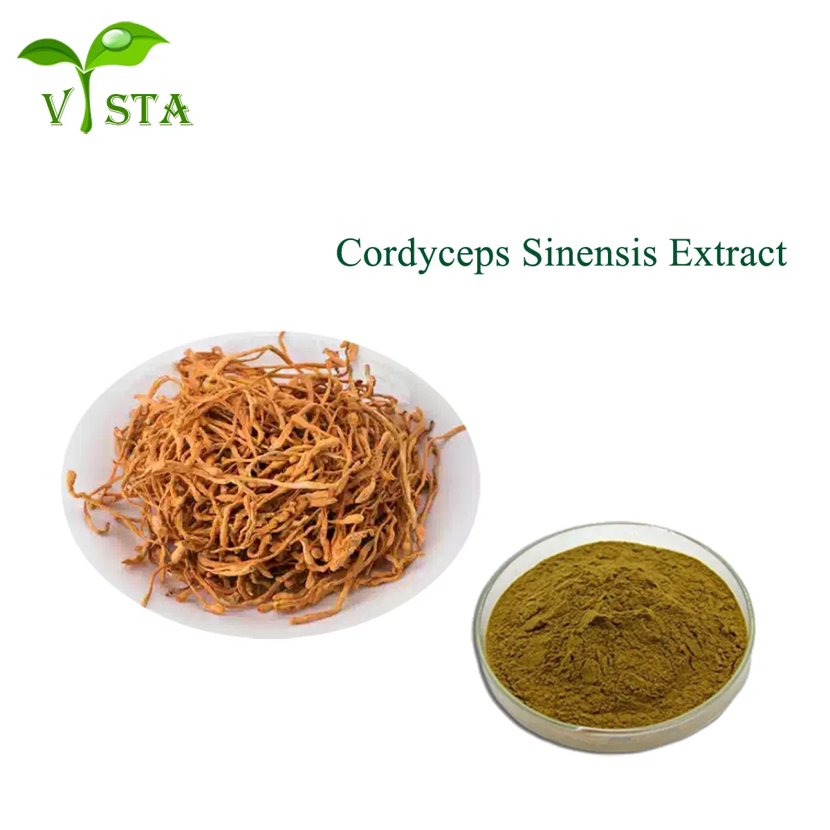 Extracto de Cordyceps Militaris Extracto de alta calidad en polvo de Cordyceps Extracto natural en polvo de hongo Cordyceps Sinensis