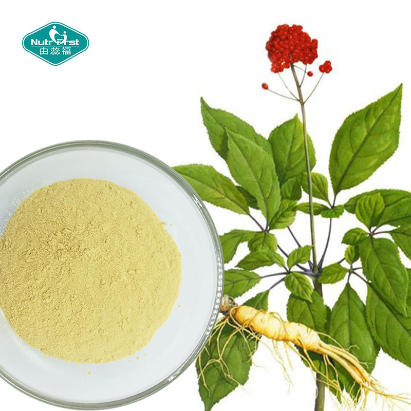 Extracto de hierbas apoya la función inmune, extracto en polvo de ginseng panax para el estado de ánimo, función cognitiva, energía y estrés