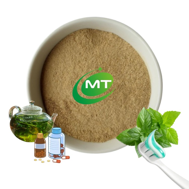 Muestra gratuita de extracto en polvo de menta natural y fragante para claridad cognitiva
