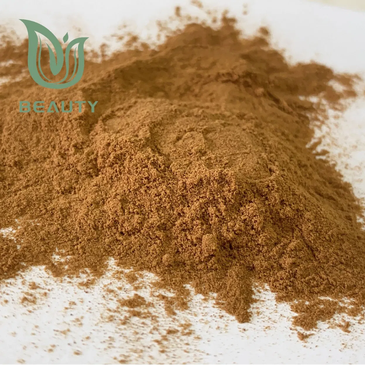 Extracto en polvo de champiñón blanco premium para beneficios para la salud