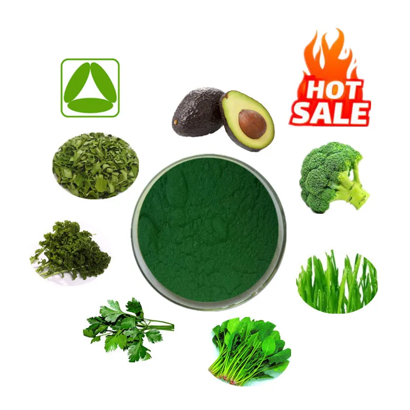 7 en 1 12 en 1 100% Mezcla de Polvo de Plantas Naturales Mixtas de Frutas y Verduras Supergreens Polvo de Super Greens