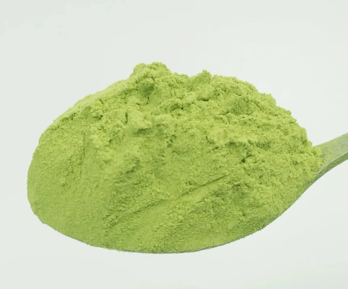 Comida Saludable Cuidado de la Salud Extracto Herbal Polvo de Espinaca