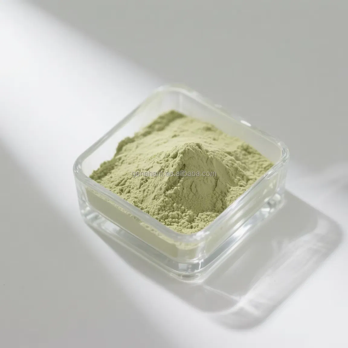 Certificado Kosher Halal Puro Dnj 1% Extracto de Hoja de Morera Extracto de Planta Premium en Polvo Verde