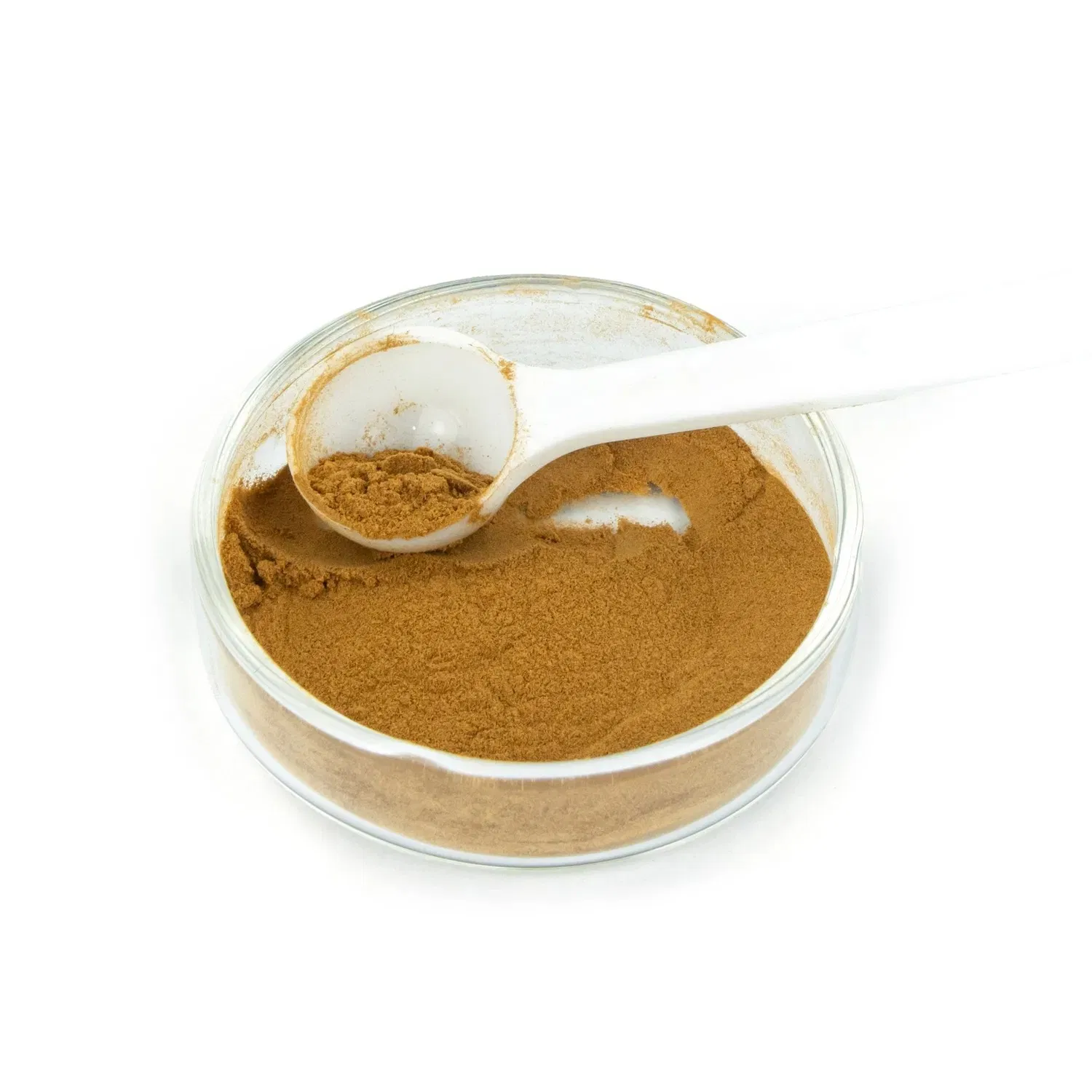 Extracto en polvo de hoja de stevia natural al por mayor de Shaanxi 10: 1