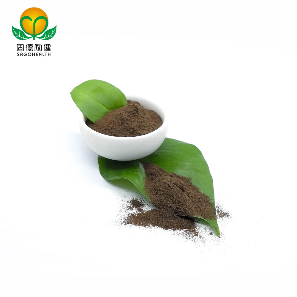 Certificado GMP Extracto en Polvo de Hongo Reishi Orgánico Extracto de Ganoderma en Polvo