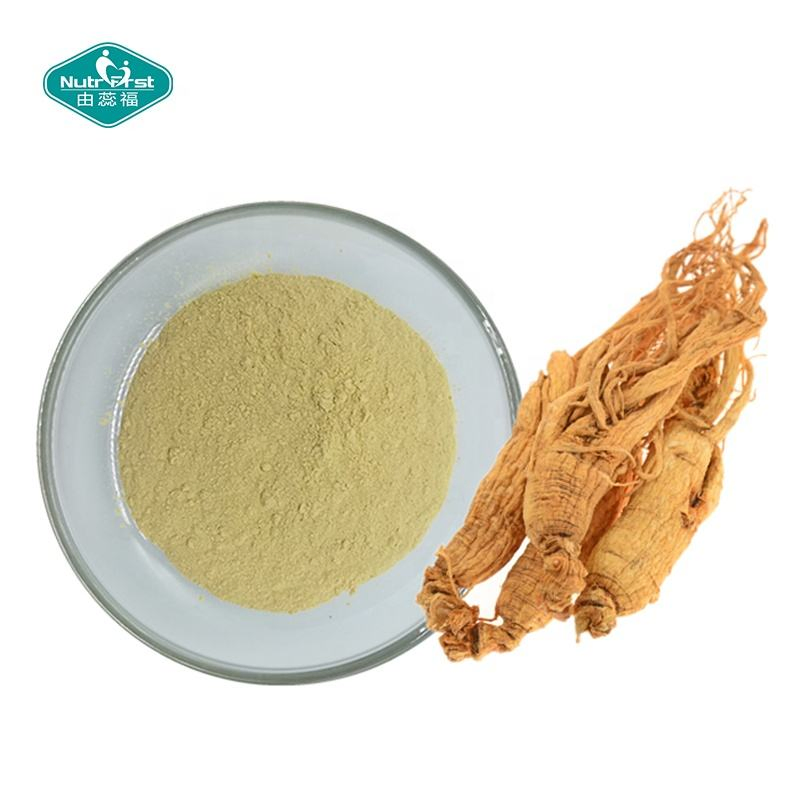 Extracto de hierbas apoya la función inmune, extracto en polvo de ginseng panax para el estado de ánimo, función cognitiva, energía y estrés
