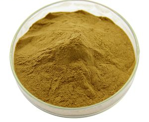 Extracto en polvo de hongo melena de león Hericium Erinaceus 30% Beta D Glucano, soluble en agua de proveedor de China