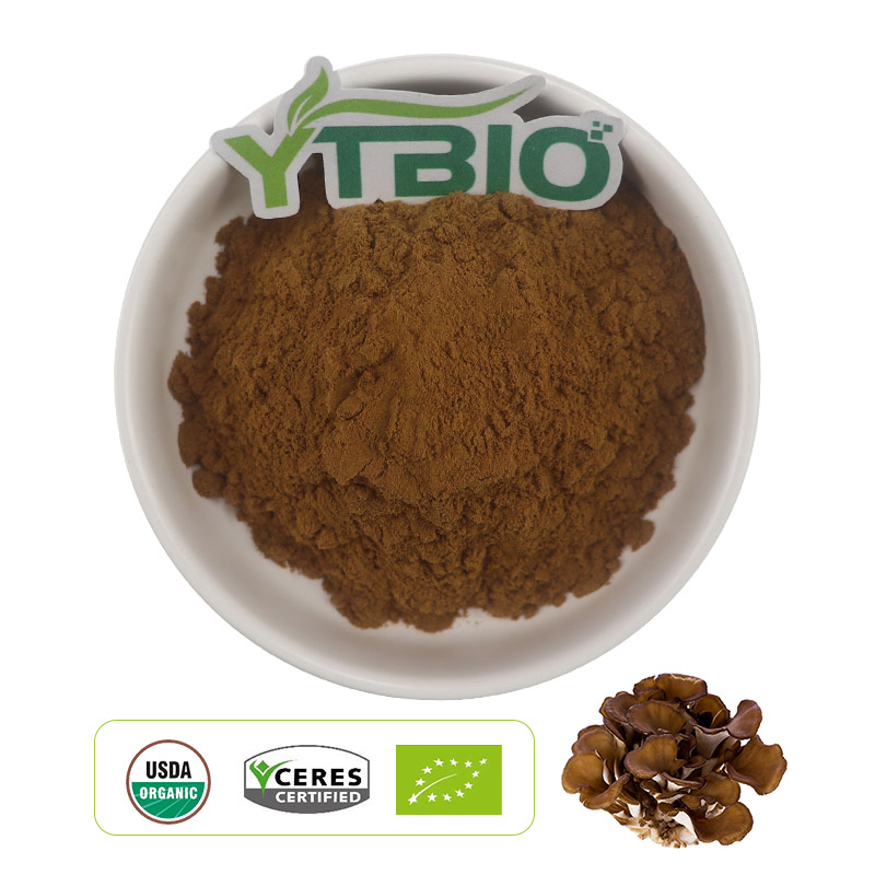 Extracto de champiñón Maitake orgánico en polvo