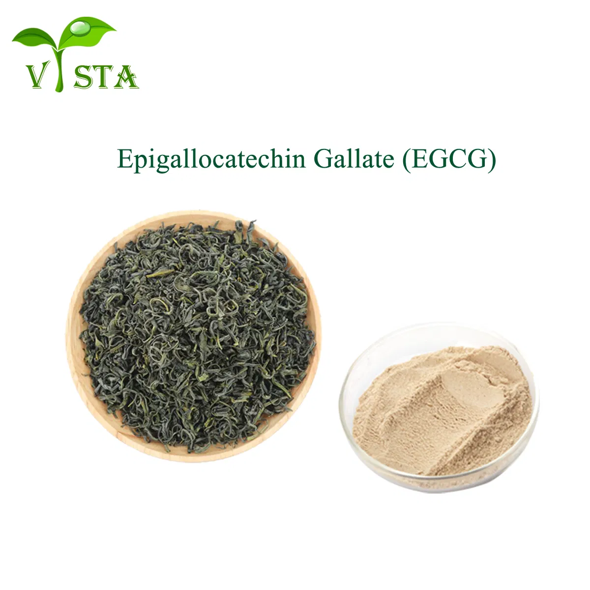 100% Extracto de hoja de té verde en polvo de Epigalocatequina Galato (EGCG) CAS 989-51-5