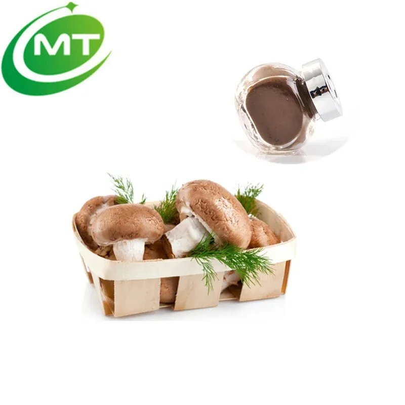 Polvo de champiñón superalimento orgánico de alta calidad extracto de champiñón shiitake