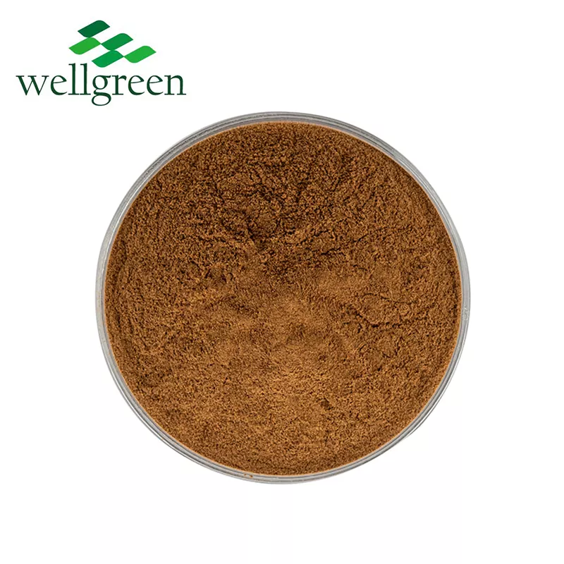 Wellgreen 30%50% Extracto de hongo Hericium Erinaceus en polvo de melena de león