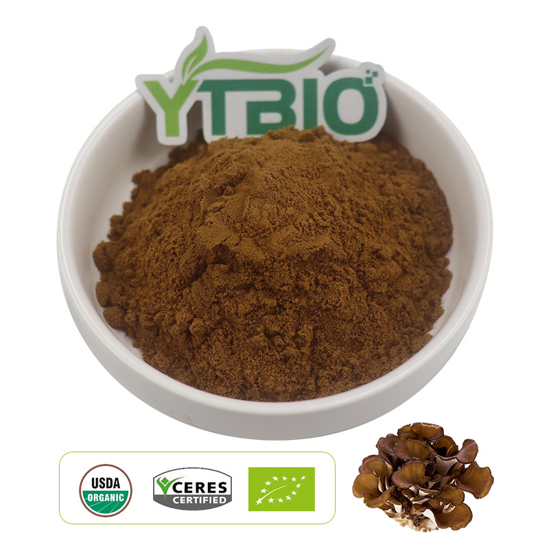 Extracto de champiñón Maitake orgánico en polvo