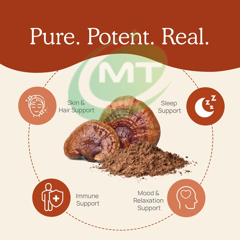 Mejor Precio Extracto Natural de Champiñón de Alta Calidad Polvo de Espora Rota de Reishi Polvo de Espora de Reishi