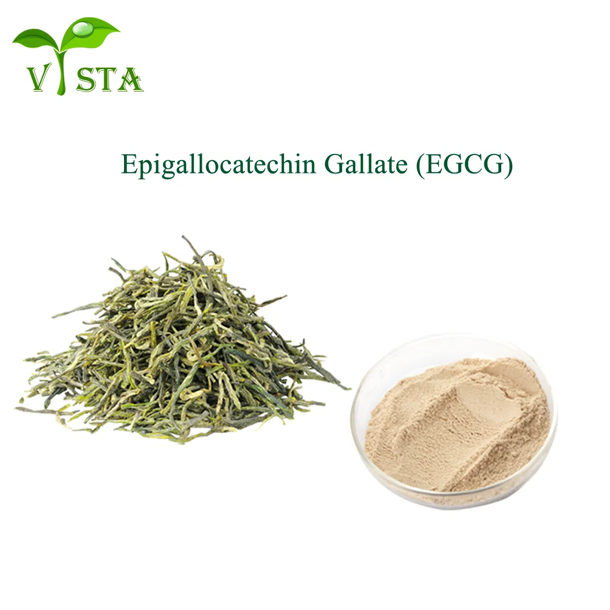 100% Extracto de hoja de té verde en polvo de Epigalocatequina Galato (EGCG) CAS 989-51-5