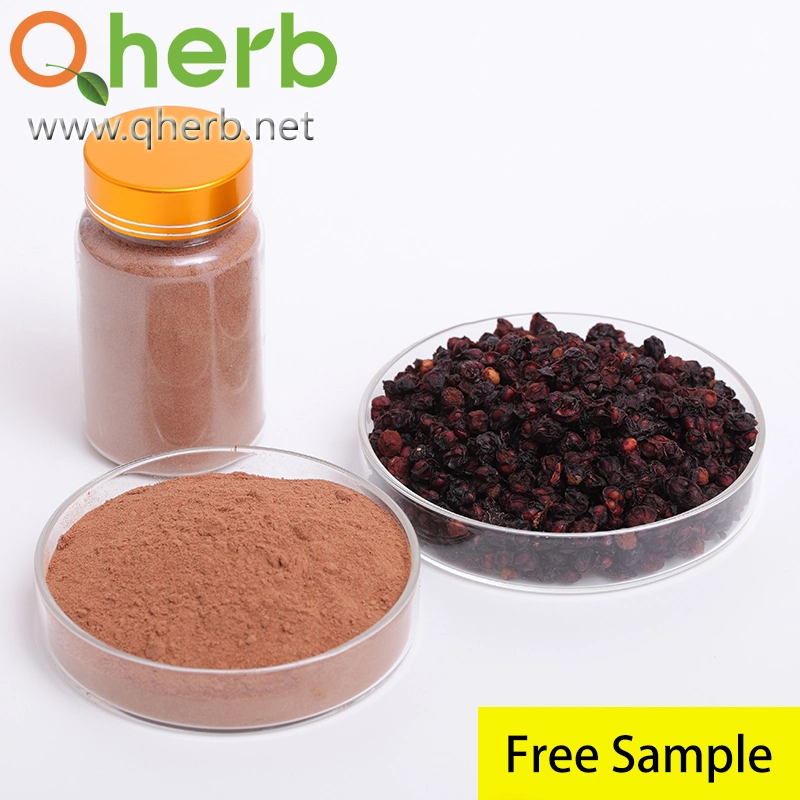 Extracto en polvo de fruta de baya de Schizandra Chinensis 2%~9% Schizandrinas HPLC