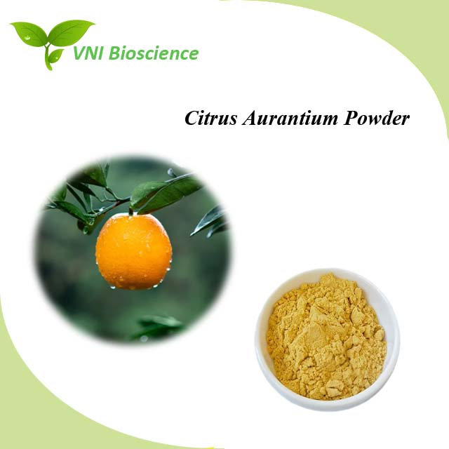 Certificado ISO Kosher 100% Polvo de Fruta de Vitamina C Natural Polvo de Citrus Aurantium