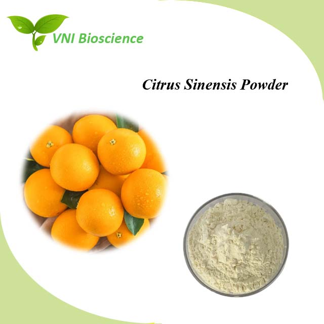 HACCP Certificado Kosher 100% Polvo Natural de Vitamina C de Fruta Polvo de Cítricos Sinensis