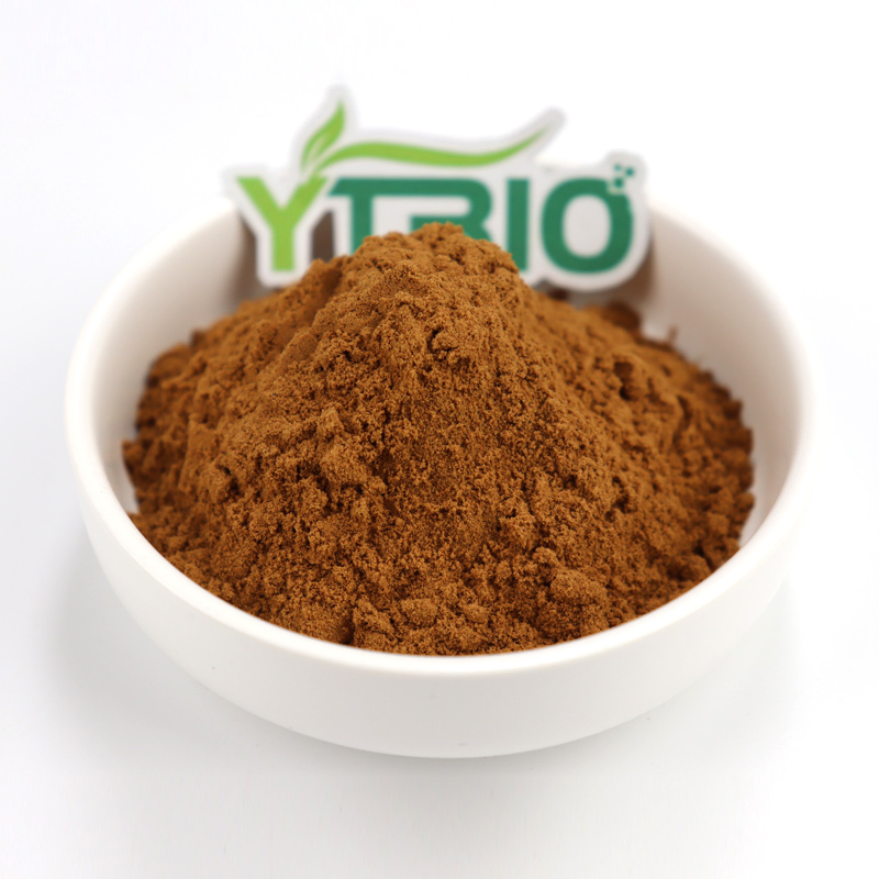 Polvo de hongo reishi de alta calidad extracto de Ganoderma lucidum para el cuidado de la salud