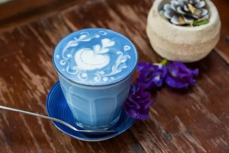 Polvo de Matcha Azul de Alta Pureza Superalimento Orgánico Polvo de Flor de Guisante Mariposa Azul