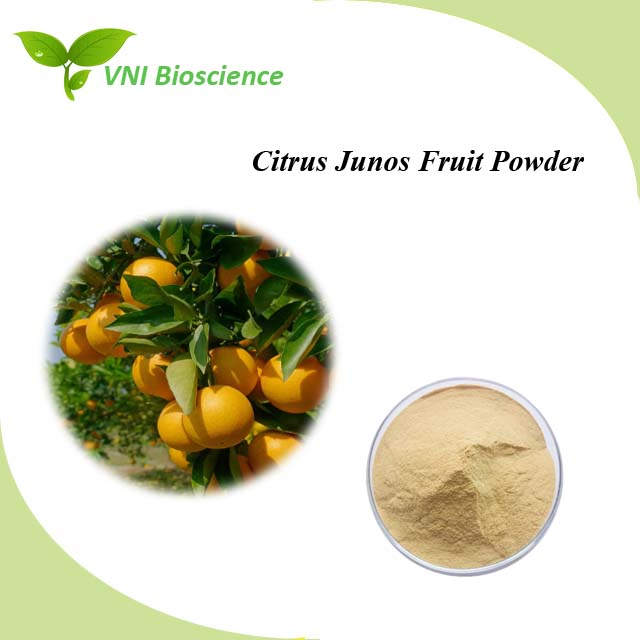 Certificado Kosher y Halal 100% Polvo de fruta de Citrus Junos con vitamina C natural