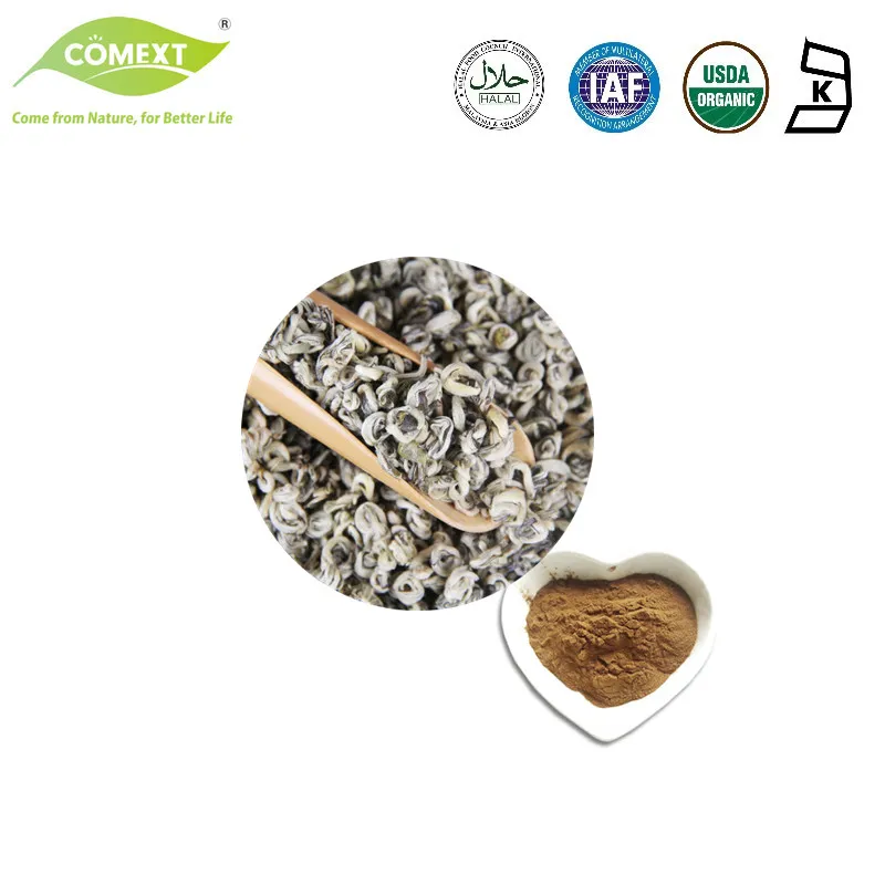 Detalle del Extracto de Té Verde Polvo