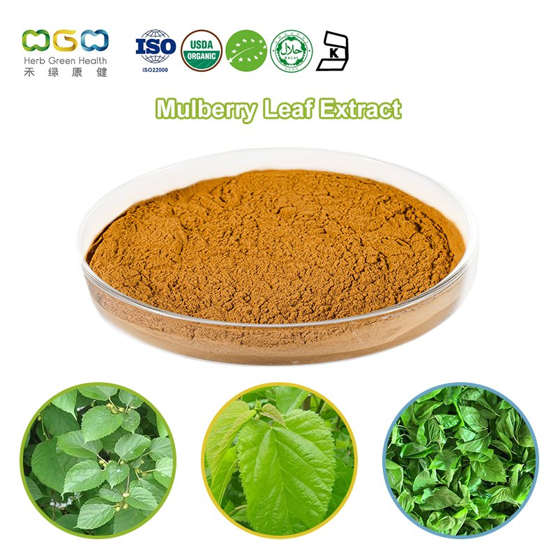 Polvo de Control de Peso Anti Glicación OEM&ODM Dnj 1% -5% Extracto de Hoja de Morera para Control de Peso