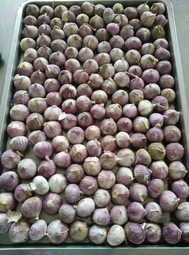 Instalaciones de Producción