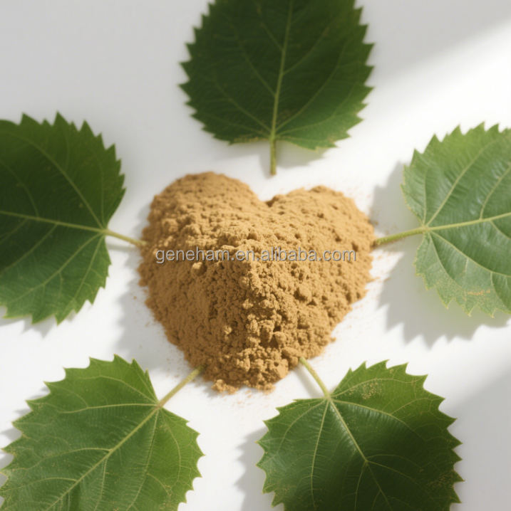 Dnj 8% Extracto en polvo de hoja de morera de grado alimenticio certificado halal suplemento verde