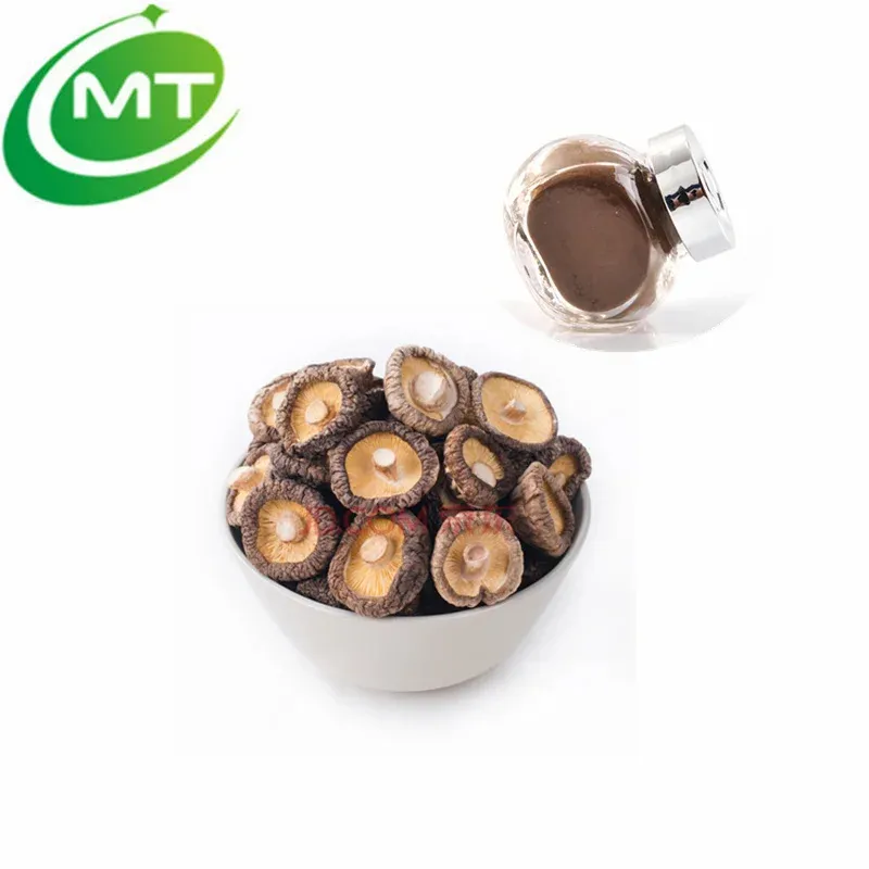 Polvo de champiñón superalimento orgánico de alta calidad extracto de champiñón shiitake
