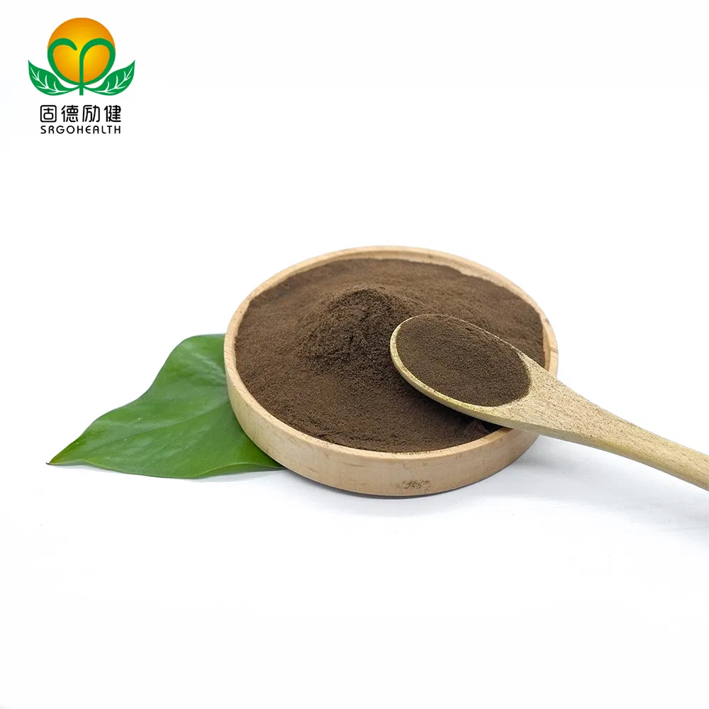 Certificado GMP Extracto en Polvo de Hongo Reishi Orgánico Extracto de Ganoderma en Polvo